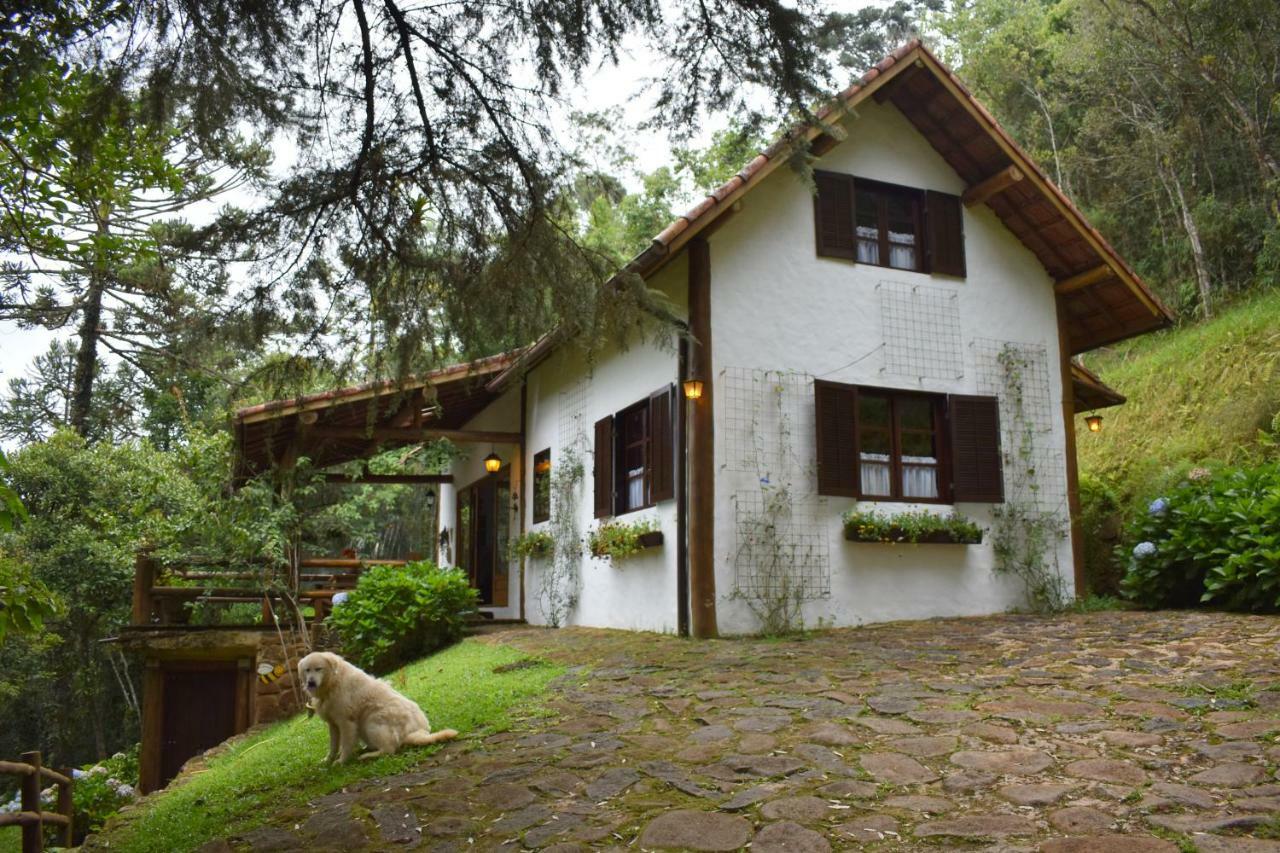 Villa Chalet Da Hortensias Cunha Exterior foto