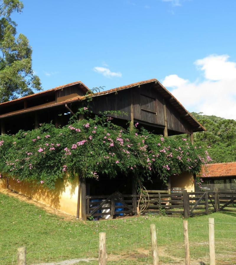 Villa Chalet Da Hortensias Cunha Exterior foto